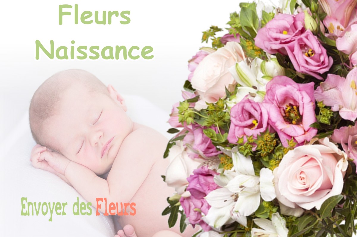 lIVRAISON FLEURS NAISSANCE à LOUPIA